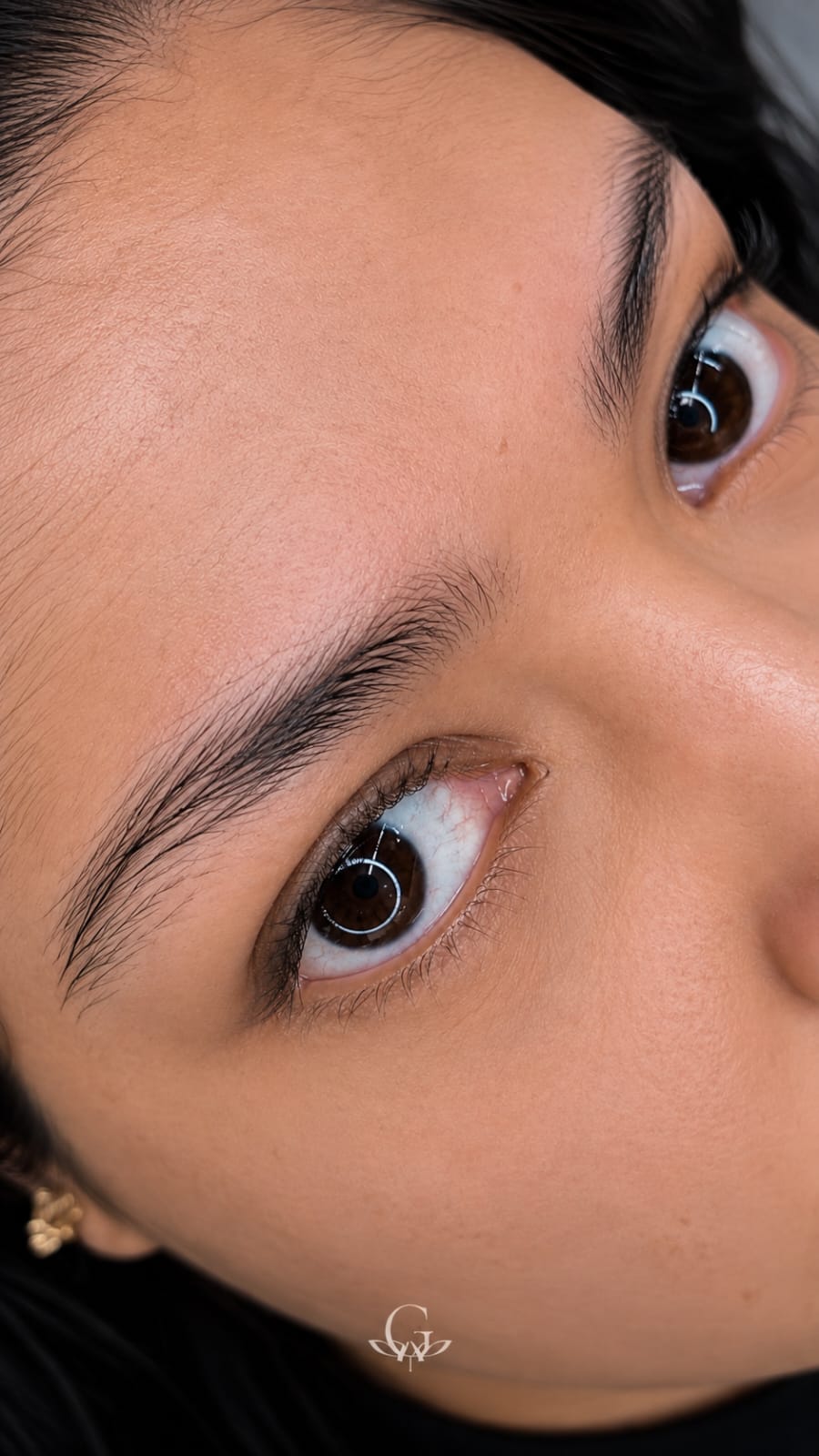 Antes do procedimento de Brow Lamination