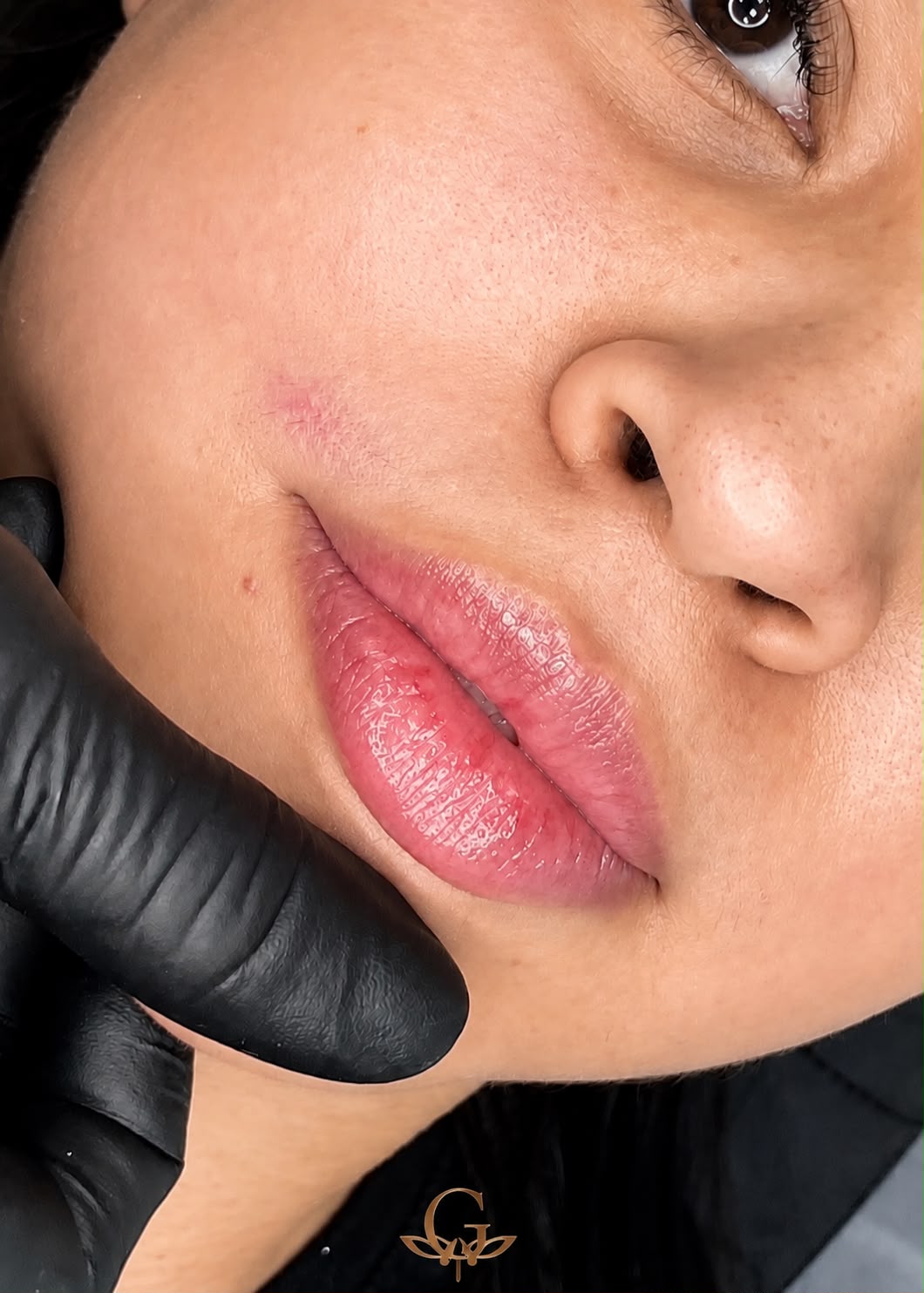 Resultado de HidraGloss Labial